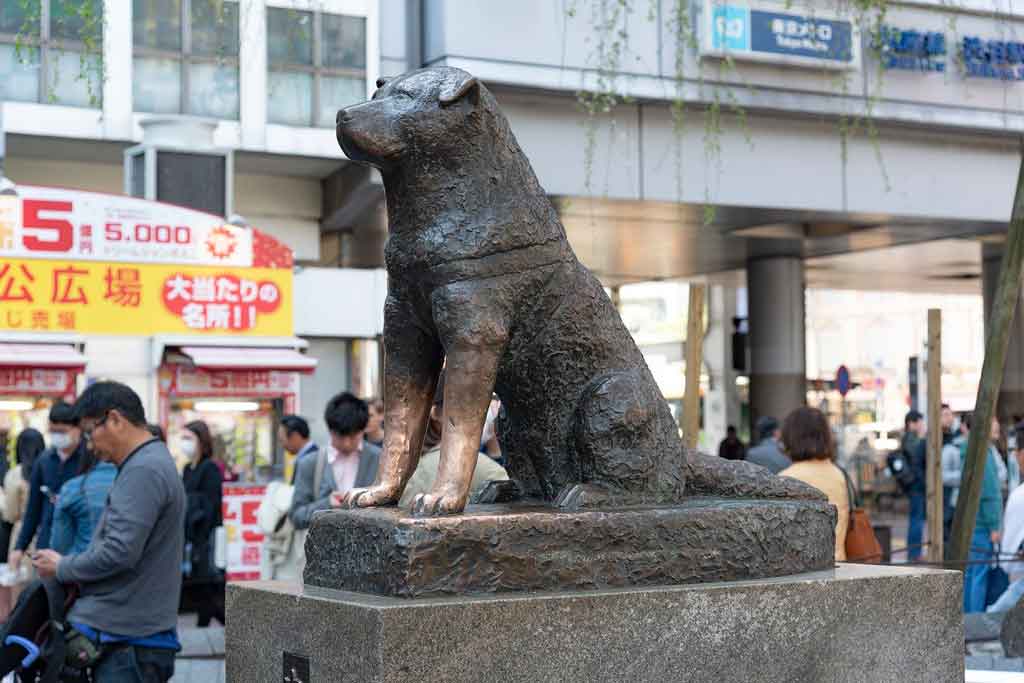 Estátua De Bronze Do Cão Famoso Hachiko, Quadrado De Hachiko