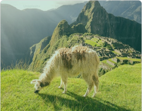 Seguro viagem para América do Sul